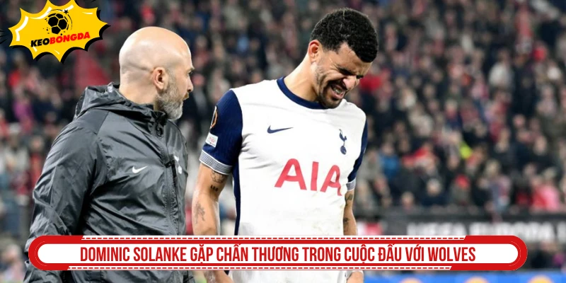 Dominic Solanke gặp chấn thương trong cuộc đấu với Wolves