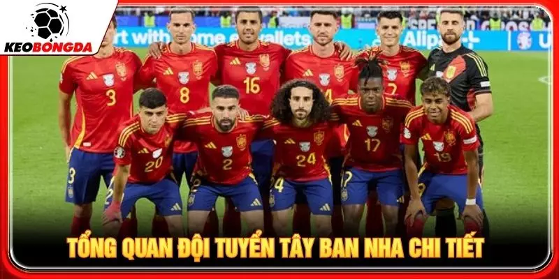 Tổng quan đội tuyển Tây Ban Nha chi tiết