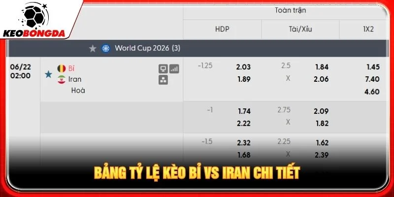 Bảng tỷ lệ kèo Bỉ vs Iran chi tiết