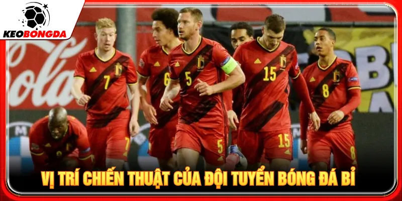 Đánh giá từng vị trí chiến lược trong mùa World Cup