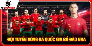 đội tuyển bóng đá quốc gia bồ đào nha