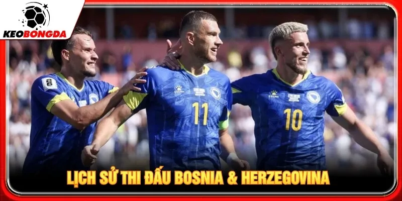 Lịch sử thi đấu Bosnia & Herzegovina