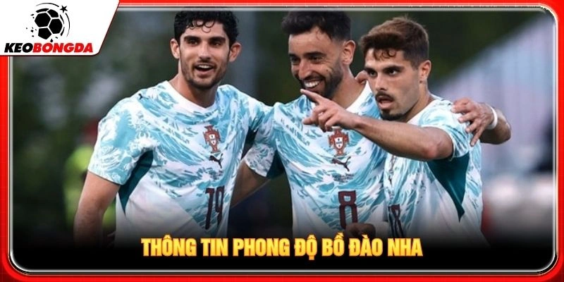 Thông tin phong độ Bồ Đào Nha Thông tin phong độ Bồ Đào Nha