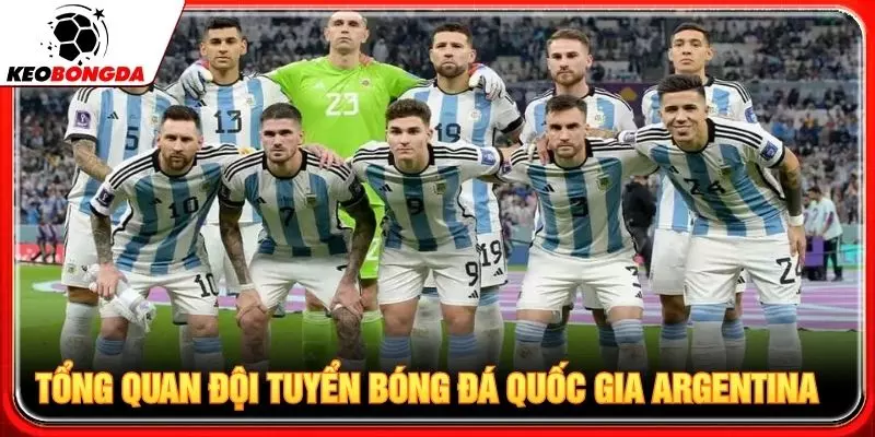 Tổng quan đội tuyển bóng đá quốc gia Argentina 