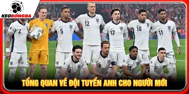 Tổng quan về đội tuyển Anh cho người mới