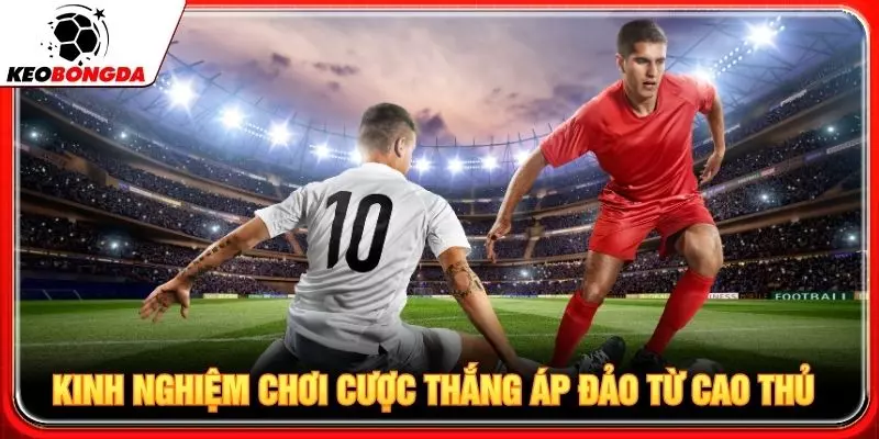 Kinh nghiệm chơi cược thắng áp đảo từ cao thủ