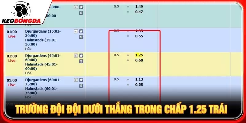 Trường đội đội dưới thắng trong chấp 1.25 trái
