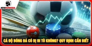 Cá Độ Bóng Đá Có Bị Đi Tù Không? Quy Định Cần Biết