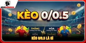 kèo 0/0.5 là gì