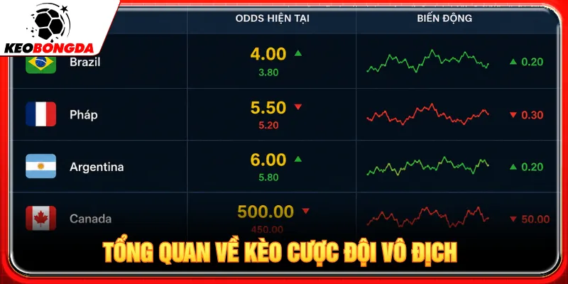 Kèo cược đội vô địch tập trung vào thông tin một giải đấu