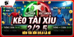 Kèo tài xỉu 2/2.5 là gì