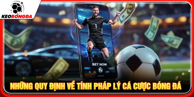 Nắm rõ trường hợp cá cược bóng đá trực tuyến được phép