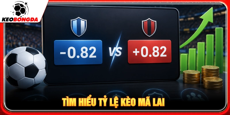 Tìm hiểu về tỷ lệ kèo Mã Lai khi cá cược bóng đá